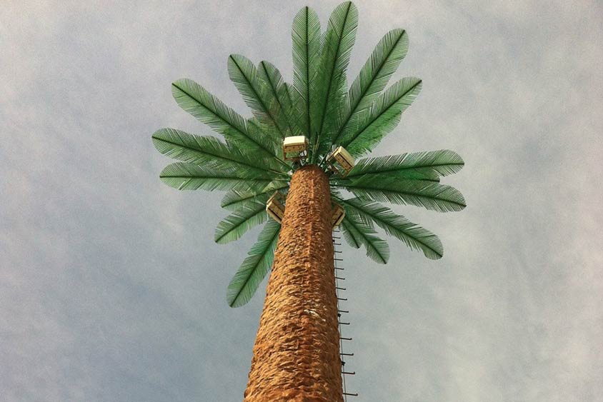 Cellular Palm Tree Sites